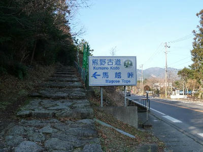 teng-03.jpg