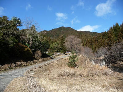 hige-01.jpg