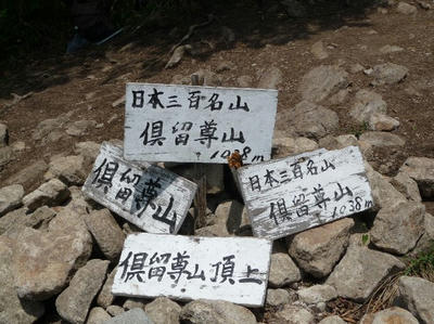 kuroso1.jpg