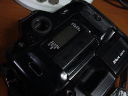DSC00114-250.JPG