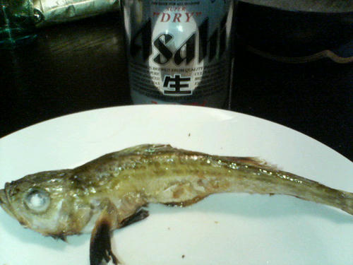 鰰