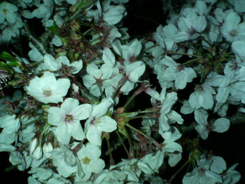 2007.04.08　②