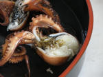 tako7.jpg