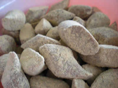 cg0033.jpg
