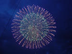 flower_01.JPG