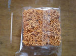 lunch_2.JPG