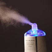 heavenlyscent02.jpg