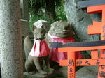 DSCF1903.JPG