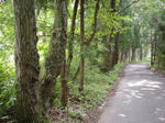 DSC04149.jpg