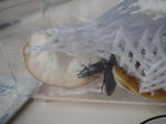 DSC04224.jpg