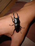 DSC04237.jpg