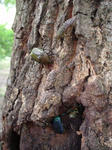 DSC04153.jpg