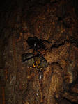 DSC04129.jpg