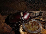 DSC04179.jpg