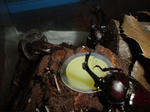 DSC04189.jpg