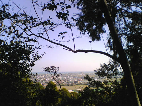 2007_1125_019.jpg