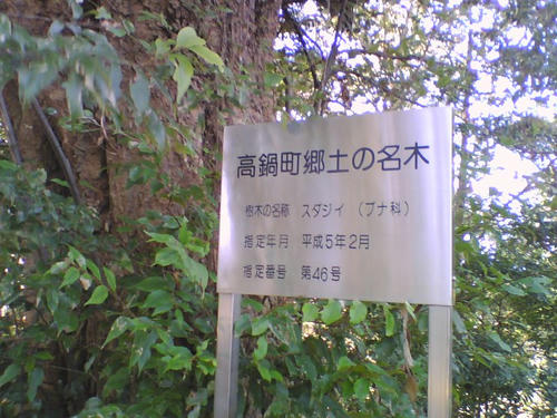 2007_1125_025.jpg