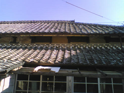 2007_1125_029.jpg
