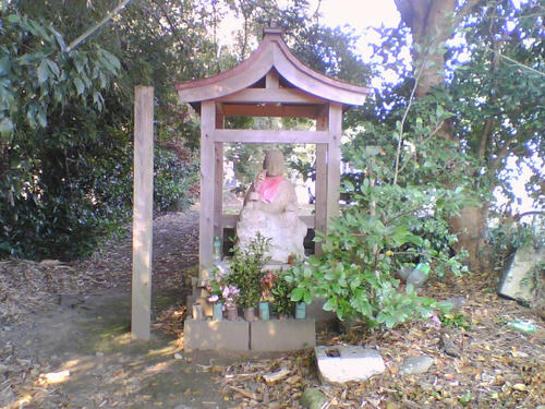 2008_0118_017.jpg