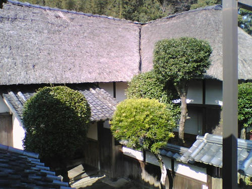 2008_0124_002.jpg