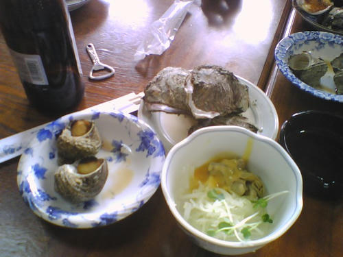 2008_0127_036.jpg