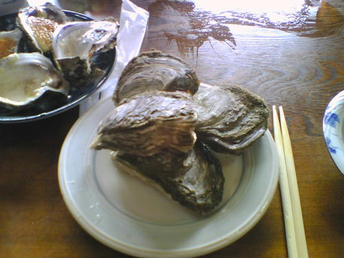 2008_0127_039.jpg