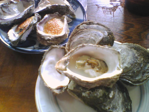 2008_0127_041.jpg