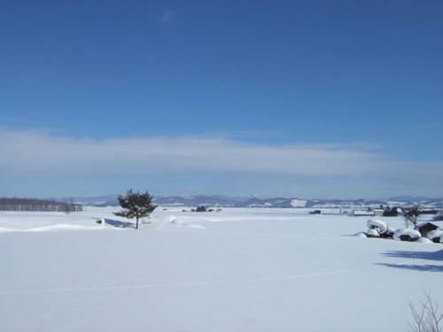 DSCF2025.jpg