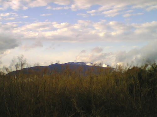 2008_0226_034.jpg
