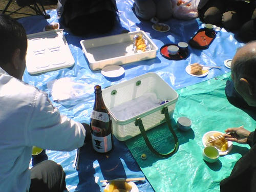 2008_0228_059.jpg