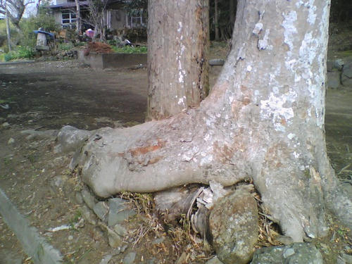 2008_0229_027.jpg