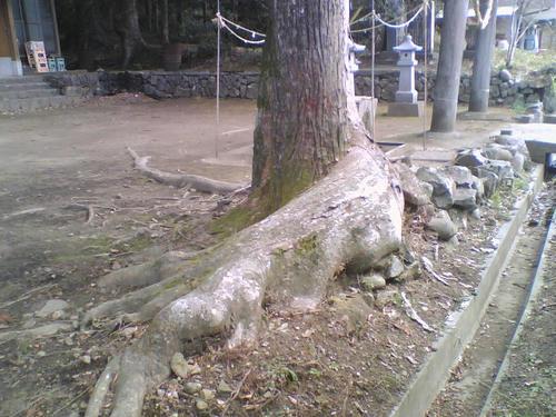2008_0229_028.jpg