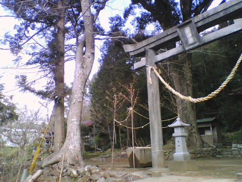 2008_0229_032.jpg