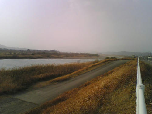 2008_0303_019.jpg