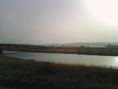 2008_0303_024.jpg