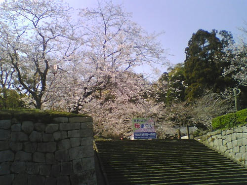2008_0403_019.jpg