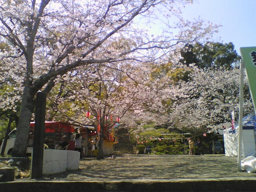 2008_0403_023.jpg