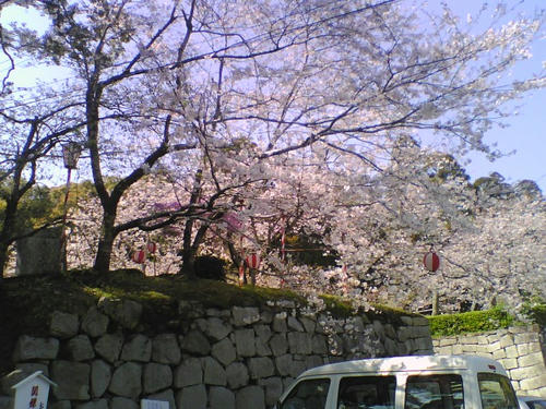 2008_0403_026.jpg