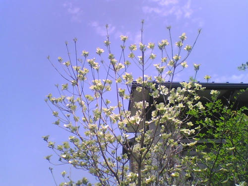 2008_0414_069.jpg