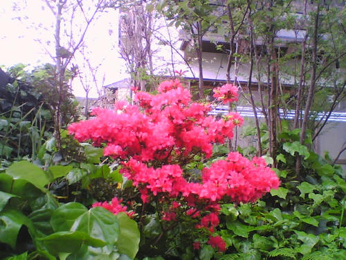 2008_0417_073.jpg