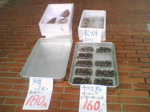 2008_0511_044.jpg