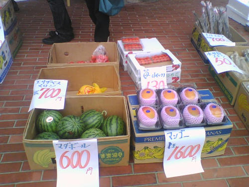 2008_0511_048.jpg