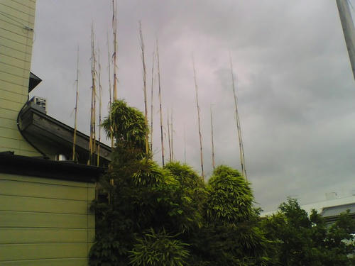 2008_0618_024.jpg