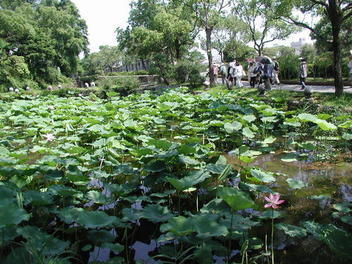 P7080007.JPG