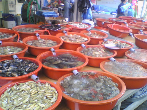 2008_1012_020.jpg