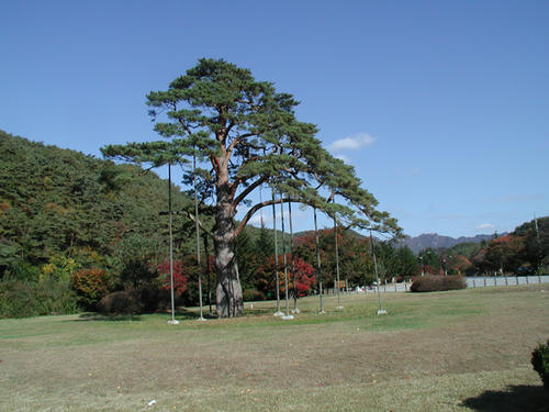 PA240059.JPG