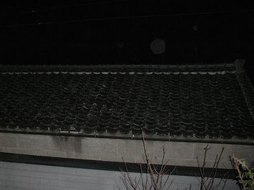 PB030002-1.JPG