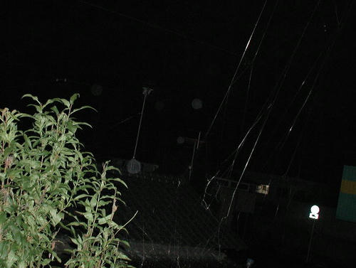 PB030006-1JPG.jpg