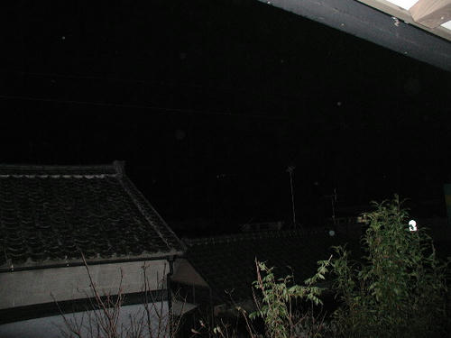 PB030007-1.JPG