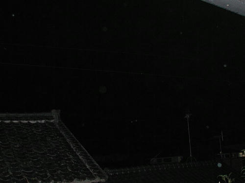 PB030007-2.JPG